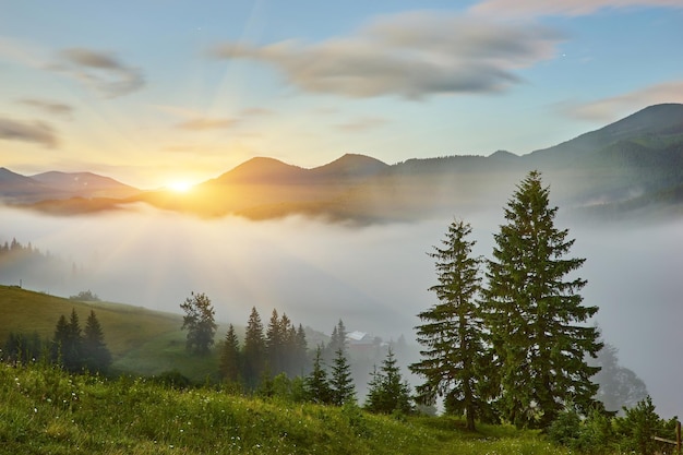 Summer landscape in mountains and the blue sky