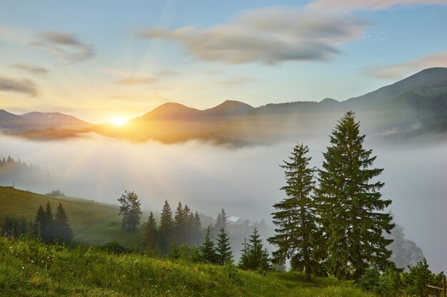 Summer landscape in mountains and the blue sky