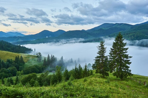 Летний пейзаж в горах и голубое небо