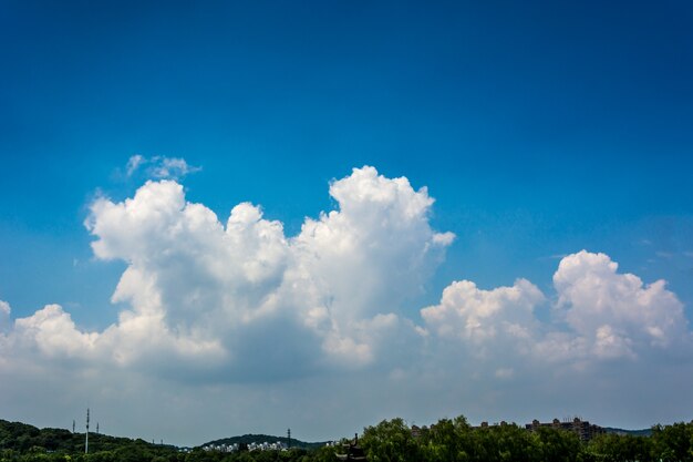 晴れた日に湖の夏の風景