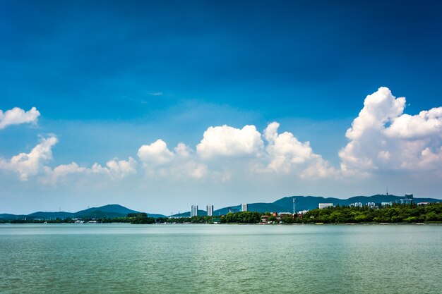 summer landscape with lake at sunny day