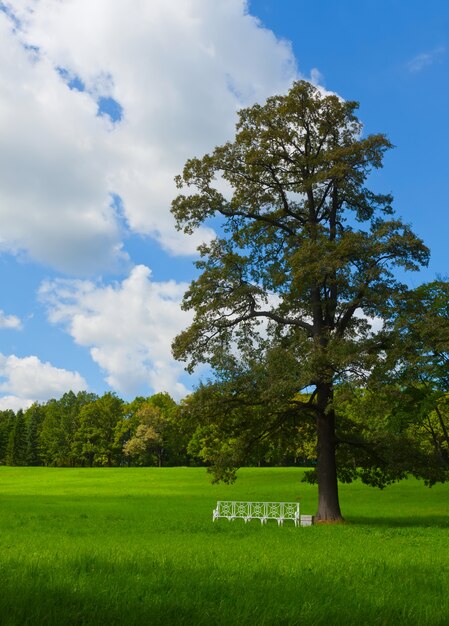 夏の風景