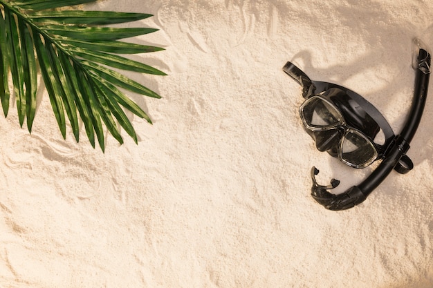 Summer layout of palm tree leaf and swimming mask