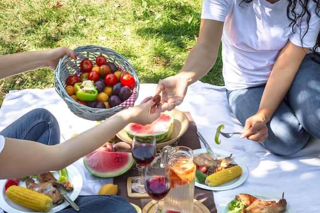 Summer picnic with friends in nature with food and drinks.