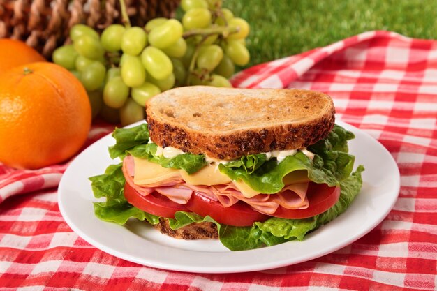 Summer picnic with toasted ham and cheese sandwich