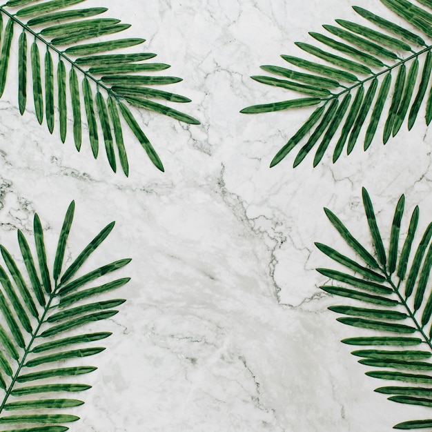 Summer plants with copy space on marble background.