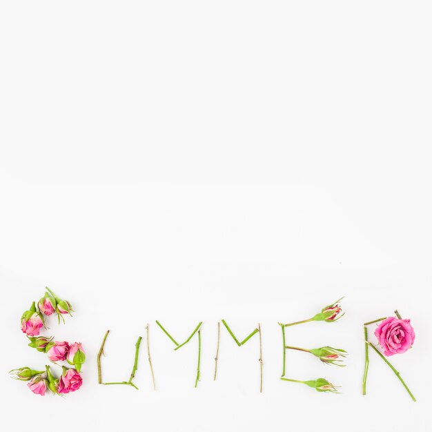 핑크 장미와 흰색 배경에 줄기로 만든 여름 텍스트