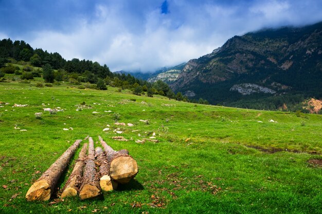 Summer view of highland meadow with cloudy sky 