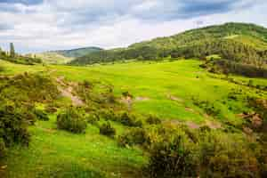 Free photo summer view of mountain pass