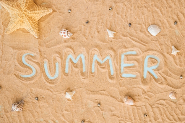 無料写真 夏の言葉と砂の上の貝殻