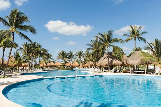 Sun loungers near palms and swimming pool in sunny day