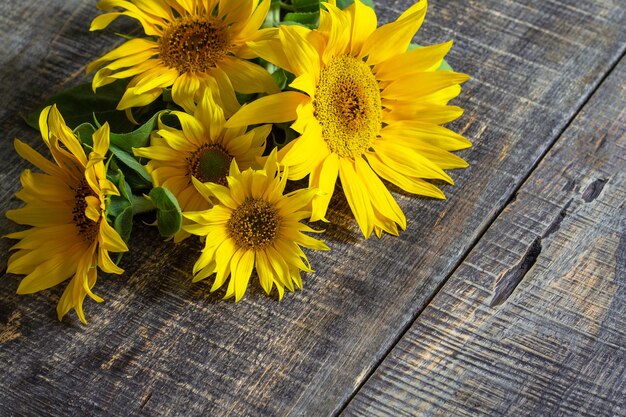 Sunflower background harvest a sunflower on a rustic table copy space