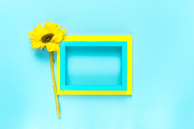 Sunflower and frame