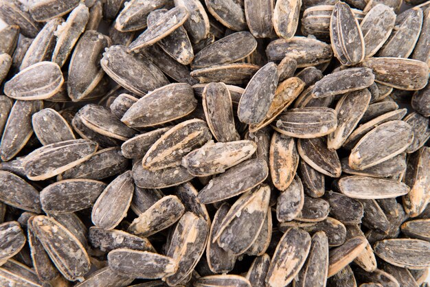 Sunflower seed