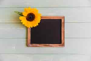 Free photo sunflower on slate