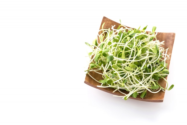 Sunflower Sprouts