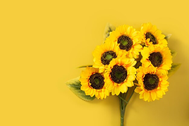 Sunflower on yellow background