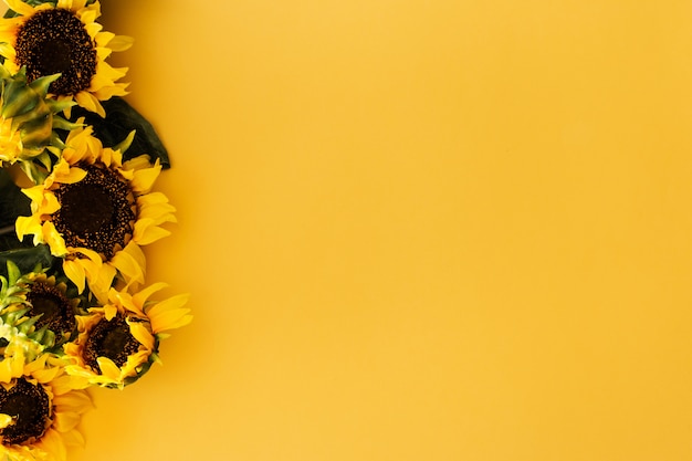 Sunflowers on yellow 