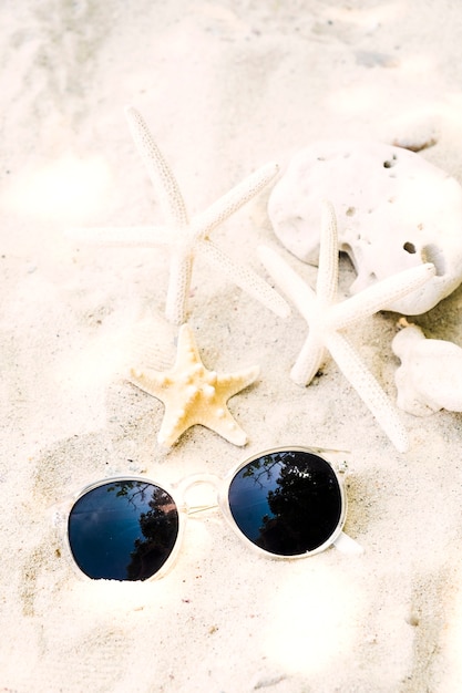 Sunglasses with starfish and coral on beach