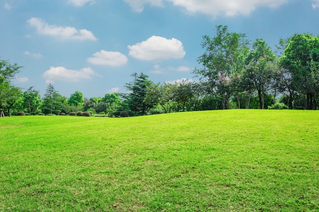 Free photo sunlight sunny land scenic weather