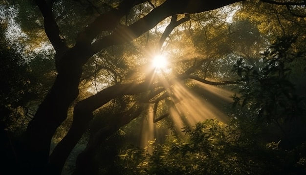 AI가 생성한 햇살 가득한 가을 숲의 고요한 아름다움