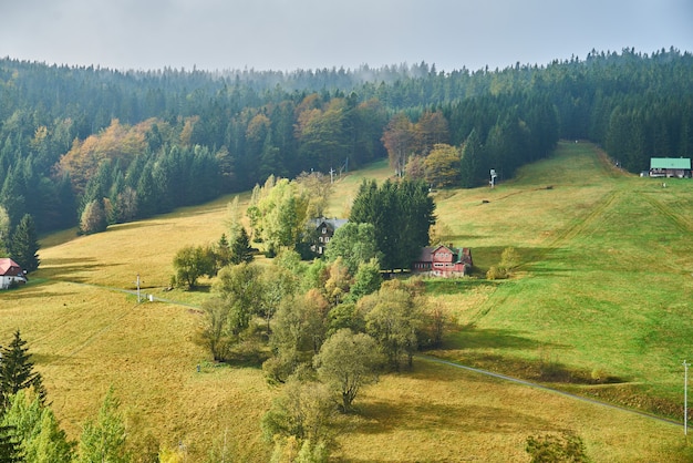 Sunlit hilly pasture during autumn