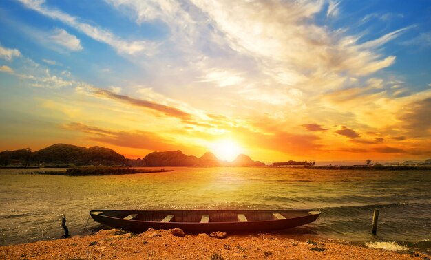 Sunny lake landscape