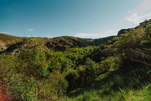 Sunny rocky landscape with vegetation