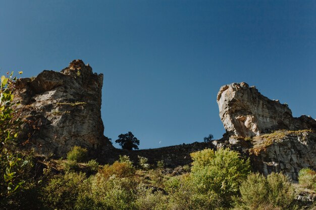 Sunny rocky landscape with vegetation