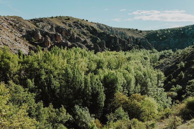 Sunny rocky landscape with vegetation