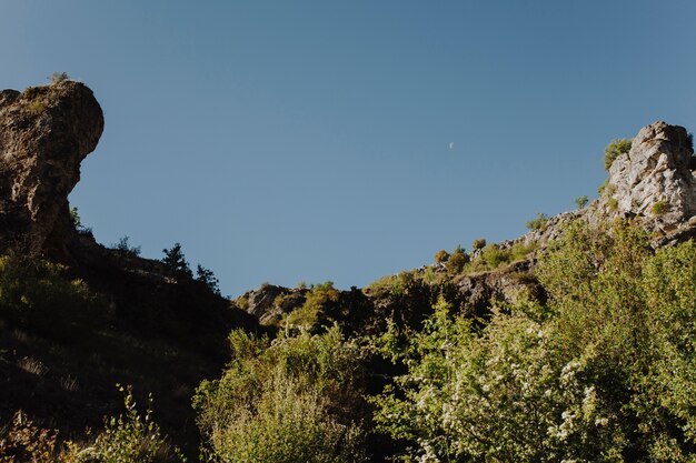 Sunny rocky landscape with vegetation