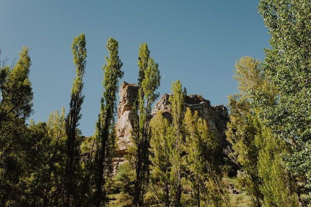 Sunny rocky landscape with vegetation