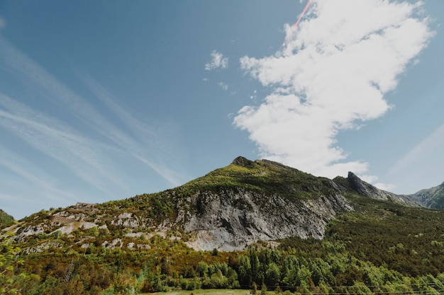 Sunny rocky landscape with vegetation