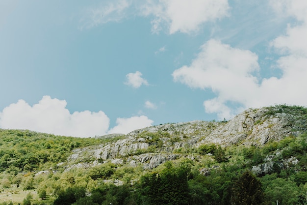 Sunny rocky landscape with vegetation