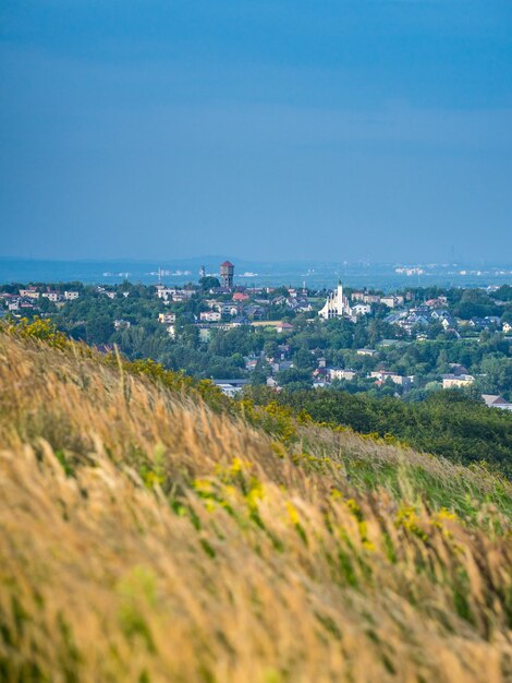 폴란드 Laziska Gorne의 도시 경관 배경에 있는 잔디 언덕의 화창한 풍경