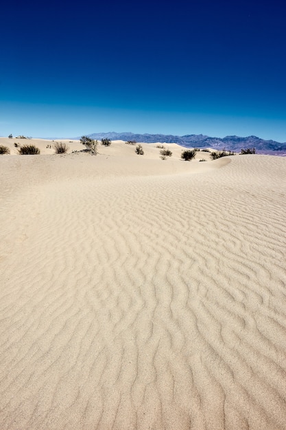 Free photo sunny scenery of the mesquite flat sand dunes in death valley national park, california - usa