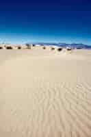 Бесплатное фото Солнечный пейзаж плоских песчаных дюн мескит в национальном парке долина смерти, калифорния - сша