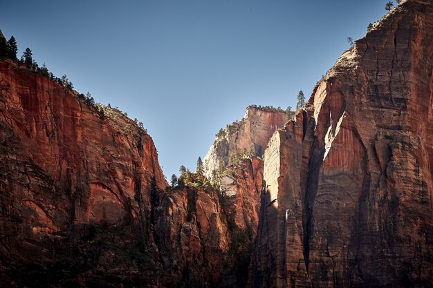 Sunny scenery of the Zion National Park located in Utah, USA