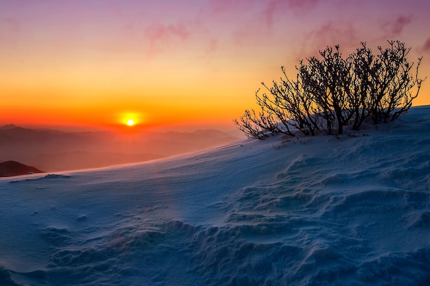 Alba sulle montagne deogyusan coperte di neve in inverno, corea del sud