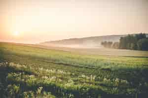 Free photo sunrise over farmland