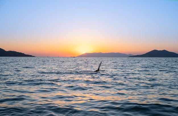 Foto gratuita tramonto sulla baia cacciatore di polpi o pescatore subacqueo idea per screensaver o pubblicità per vacanze al mare