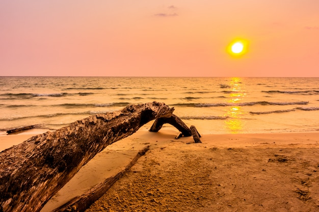 Foto gratuita tramonto sulla spiaggia