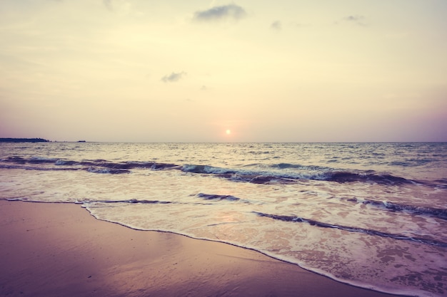 Free photo sunset on the beach