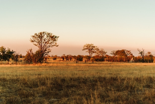 Закат в национальном парке Хванге, Зимбабве