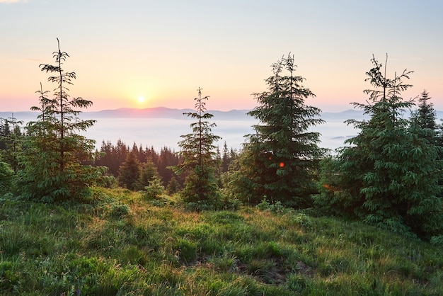 無料写真 山の風景の夕日。劇的な空。ウクライナヨーロッパのカルパチア。