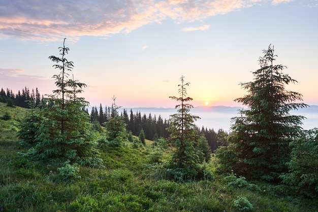 Sunset in the mountains landscape. Dramatic sky. Carpathian of Ukraine Europe.