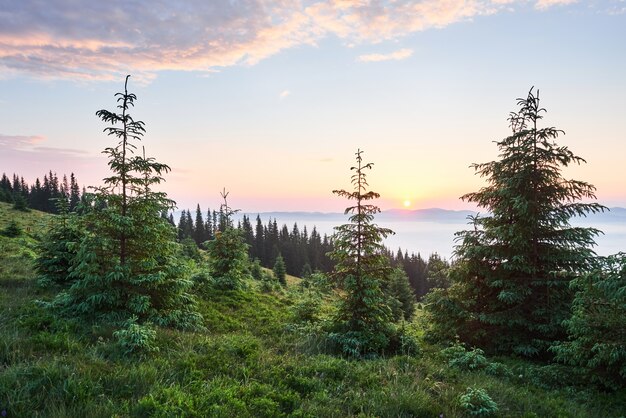 Закат в горном пейзаже. Драматическое небо. Карпаты Украины Европа.