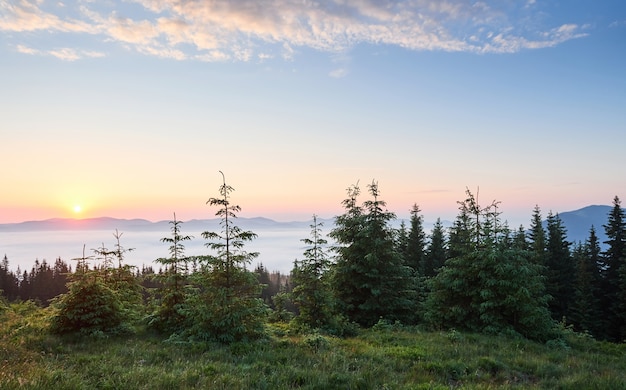 Sunset in the mountains landscape. Dramatic sky. Carpathian of Ukraine Europe.