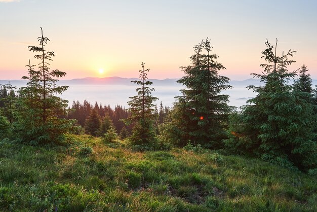 Закат в горном пейзаже. Драматическое небо. Карпаты Украины Европа.