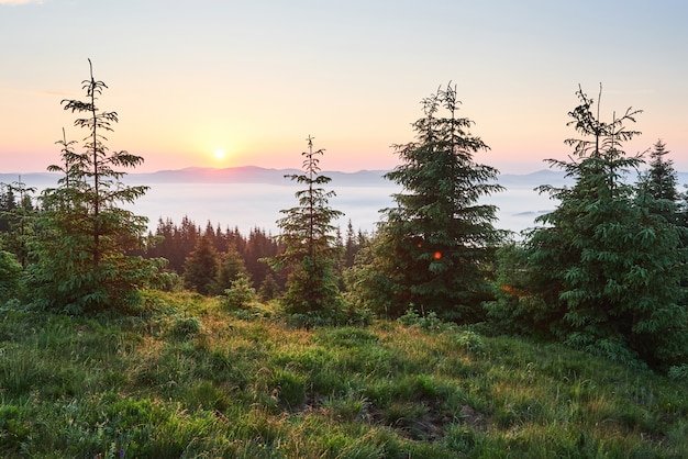 Закат в горном пейзаже. Драматическое небо. Карпаты Украины Европа.